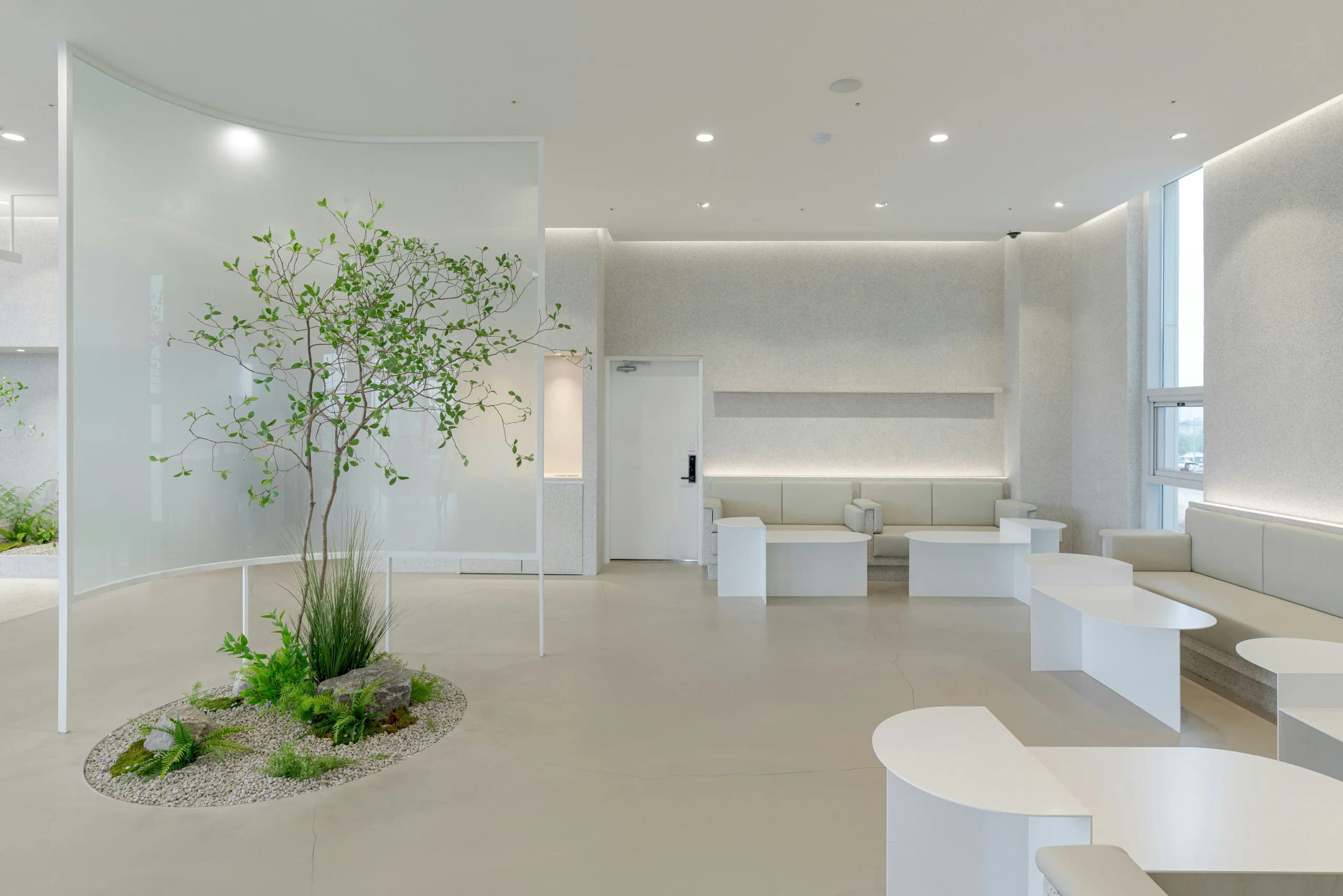Aurora Dental Sanctuary Atmosphere